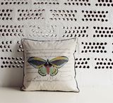 Butterfly Cushion Cotton& Linen Cushion (JCL04-074)