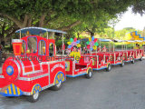 Amusement Park Trains Tourist Train