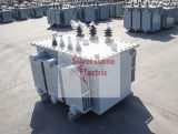 Distribution Transformer Three Phase Enclosed Distribution Transformer with Wound-Core (S11-M. R)