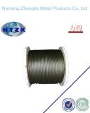 Line Contacted Steel Wire Rope