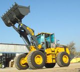 Bucket Loader (ZL50G)