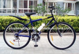 Steel Simple Mountain Bicycle with Good Quality (SH-MTB068)