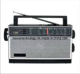 FM/TV/AM/SW1-2 5 Band Radio MP3 Player Torch (BW-F85UL)