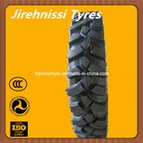 Factory Supply Bias Tyre  (5.50-16)