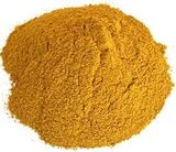 Corn Gluten Meal Supplier Feed Industry