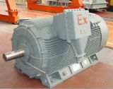 YB2 High-Voltage Explosion-Proof Induction Motor