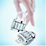 Gift USB Flash Disk