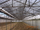 Meyabond 100% Pure HDPE Agriculture Net