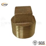 Brass Fitting Brass Square Plug (HY-J-C-0357)