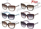 Popular Fashion Sunglasses Eyewear Frame (SS9140)