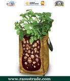 Heavy Duty Home Potato Growning Bag