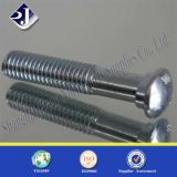 Track Bolt with Zinc