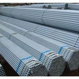 Steel Pipes