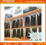 Fywood Film Faced Plywood for Construction (FYJ1549)