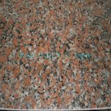 Chinese Red Granite G562, G562,