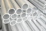 Stainless Steel Seamless Pipe (TP316L)