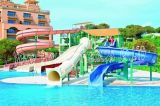 Popular Outdoor Water Slides for Sale Commercial