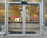 China Manufactory Automatic Swing Doors (DS-S180)