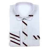 Cotton Fabric Man Dress Shirts with Special Style 2013