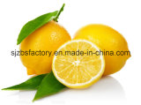 Fresh Citrus Fruits, Valencia Oranges & Lemons High Quality Hot Sales