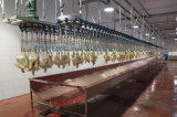 Poultry Slaughter Line with Different Capacity