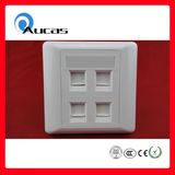 Four Port Face Plate Outlet