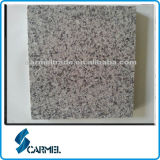 Chinese Granite G355 for Floor Tiles
