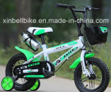 New Type Child Bicycle in High Quality with Low Price