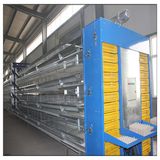 Poultry Farming Equipment Design Chicken Layer Cages for Sale