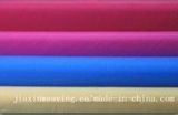 380t 20d Nylon Fabric for Down Garments