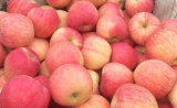 2014 Apples