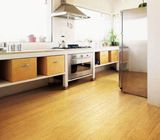 Eco Forest Bamboo Flooring From Gold Supplier