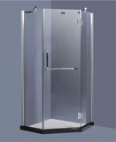 Pivot Shower Door