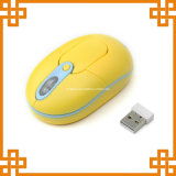 Hot Sale 2.4G Wireless Optical Mouse with Beautiful Color (Nee-310)