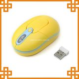 Hot Sale 2.4G Wireless Optical Mouse with Beautiful Color (Nee-310)