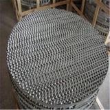 Plate Corrugated Structured Tower Packing