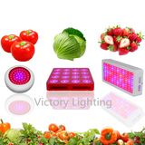 Greenhouse Red&Blue Plants 45*3W LED Garden Lights