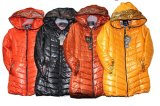 Ladies Winter Jacket (W-8813)