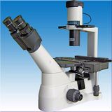 Inverted Microscope
