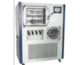 Vacuum Freeze Drying Equipment (SJIA-30F)