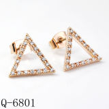 New Design 925 Silver Fashion Earrings Jewellery (Q-6801)