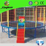 Top Quality Round Trampoline with Ladder for Kids (LG056)