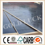 15mm 18mm Black Film Faced Plywood for Construction