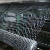 0.6mm Galvanized Hexagonal Chicken Wire Mesh Factory