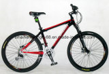 Alloy New Model Bicycle for Hot Sale (SH-AMTB031)