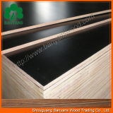 Melamine Paper Faced Plywood, Furniture Plywood