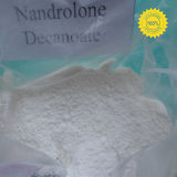 99% Nandrolone Decanonate Hormone Anabolic Nandrolone Hormone Cycls