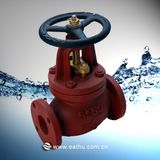 JIS Marine Globe Valve (E060)