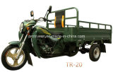 150cc Cargo Tricycle Popular for Africa Market (TR-20)