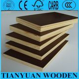 18mm Film Faced Plywood Dark Brown Film Faced Plywood